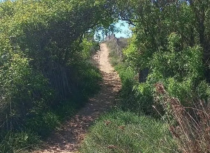 La Petite Perle De Portiragnes